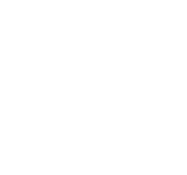 Roots Of Fight